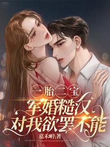 《一胎二寶,軍婚糙漢對我欲罷不能》