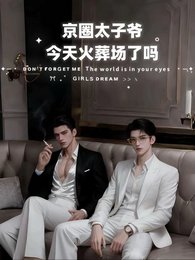 《京圈太子爺,今天火葬場了嗎》
