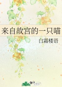 《來自故宮的一隻喵》