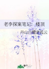 《老李探案筆記:樓頂》