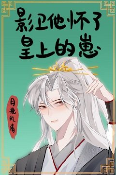 影衞他懷了皇上的崽