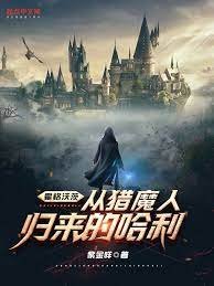 《(HP同人)霍格沃茨:從獵魔人歸來的哈利》
