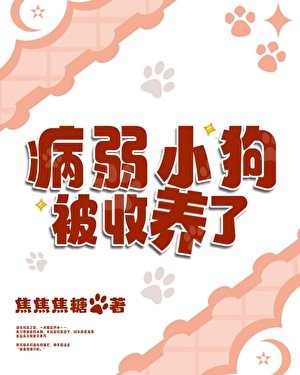 病弱小狗被收養了