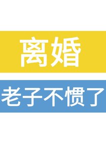 《離婚!老子不慣了》