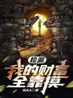 《撿漏:我的財富全靠么》