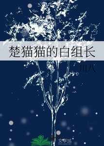 《楚貓貓的白組長》
