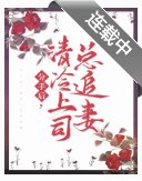 《分手後,清冷上司總追妻》