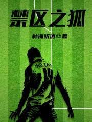 《禁區之狐》