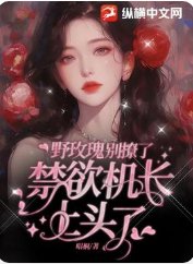 《野玫瑰別撩了,禁慾機長上頭了》