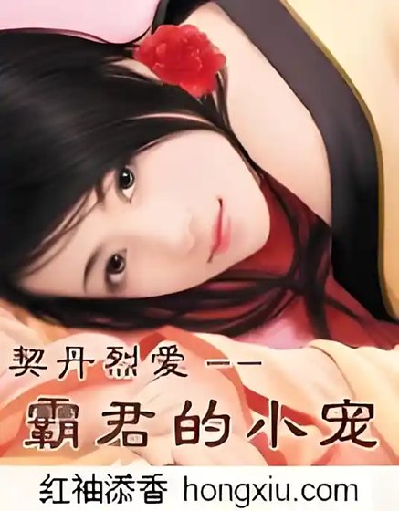 契丹烈愛：霸君的小寵【全本】