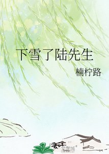 《下雪了陸先生》