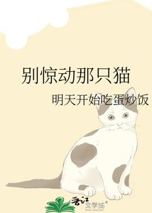 《別驚動那隻貓》