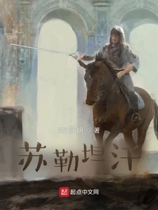 《大漠雄鷹蘇勒坦汗》