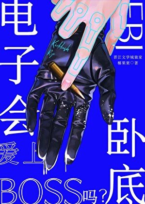 《(綜漫同人)電子BOSS會愛上FBI卧底嗎?》