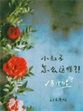 《寡嫂為妻》