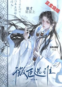 《微臣選誰誰才是皇上》