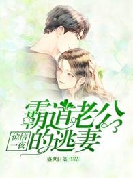 驚情一夜 霸道老公的逃妻