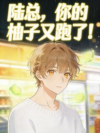 《陸總,你的柚子又跑了!》