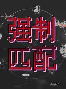 《強制匹配》