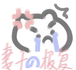《妻子的報復》