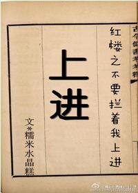 《(BG/紅樓同人)紅樓之不要攔着我上進》