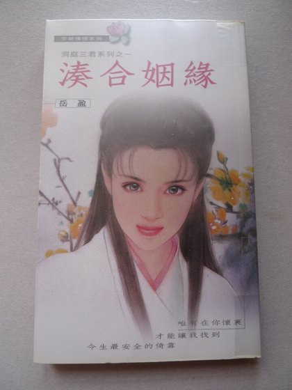 《湊合姻緣(洞庭三君系列之一)》