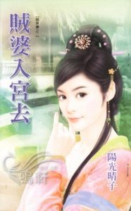 《賊婆入宮去(賊保鏢之二)》