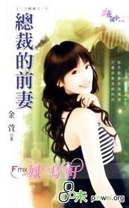 《總裁的前妻(二次姻緣之一)》