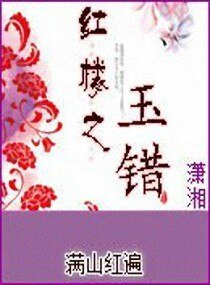 《(BG/紅樓同人)紅樓之玉錯》