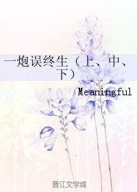《一炮誤終生(上、中、下)》