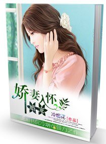 《婚寵,嬌妻入懷/長官,誘妻成性》