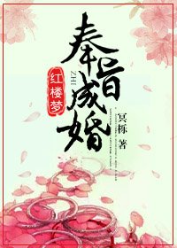 （BG/紅樓同人）[紅樓]奉旨成婚